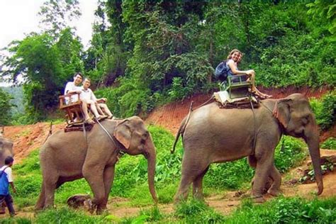 Elephant trekking & shower with elephant 05.02.2018 thank you mr.jody hayes and group from usa. Phuket Elephant Trekking Tours