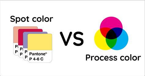 Spot Color Vs Process Color Why Does It Matter