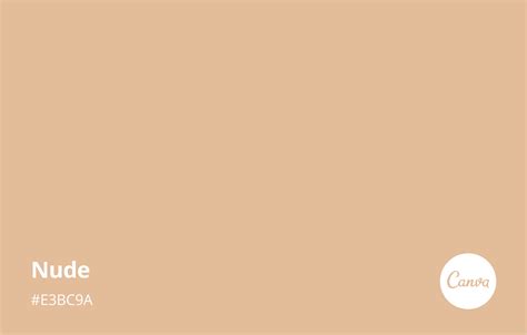 Neutral Brown Color Palette Hex Codes A Palette Of 137 Colors With