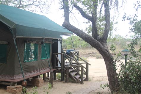 Tamboti Tented Camp In Kruger National Park South Africa South Africa