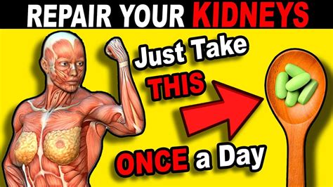 Kidney Repair Just Take This Once A Day 3 Best Home Remedies For