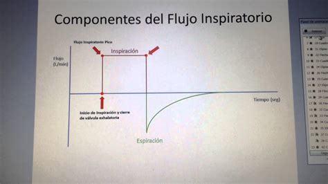 Componentes Del Flujo Inspiratorio Gráfica Flujotiempo Youtube