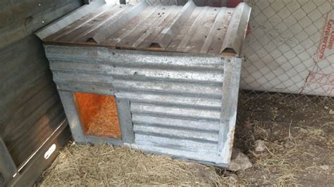 Best outdoor heated dog house overall: Heat lamp in dog house? | TexAgs