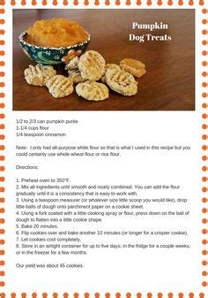Low fat and low calorie homemade dog treat recipe. Low Protein Dog Treat Recipe Won't Stress Your Pup's ...