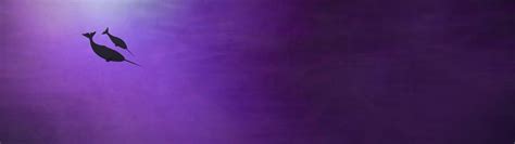 Purple 3840x1080 Wallpapers Top Free Purple 3840x1080 Backgrounds