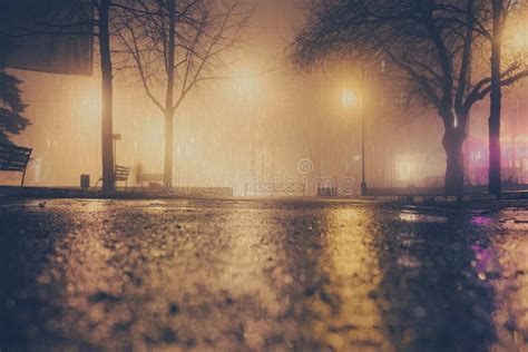 Foggy And Rainy Night In A Park Stock Image Image Of Park Landscape