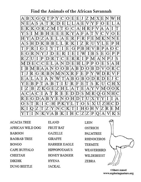 African Savanna Word Search Adult