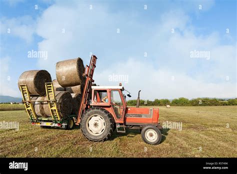 Agricultural Scene Tractor Lifting Hay Bale On Barrow Stock Photo Alamy