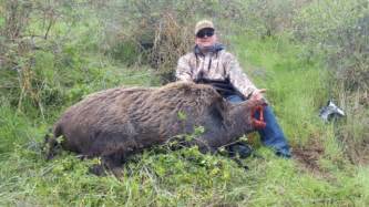 European Boar Hunts Russian Boar Hunts