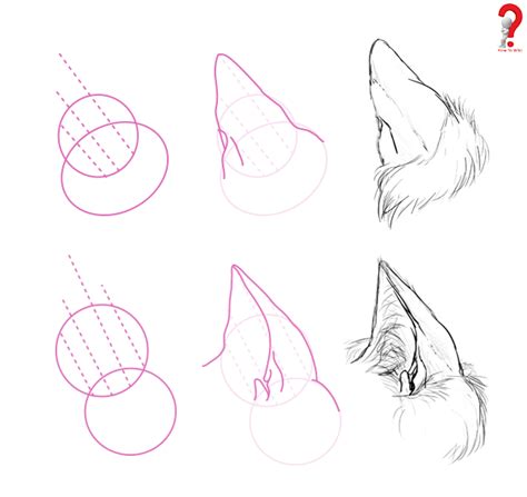 How To Draw Animal Ears Bunny Dog Wolf Cat Elephant
