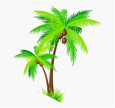21,492 coconut tree cartoons on gograph. Tree Clipart Coconut - Clip Art Coconut Tree , Transparent ...