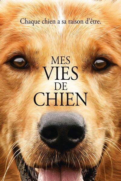 Regarder Mes Vies De Chien 2017 Gratuit En Ligne