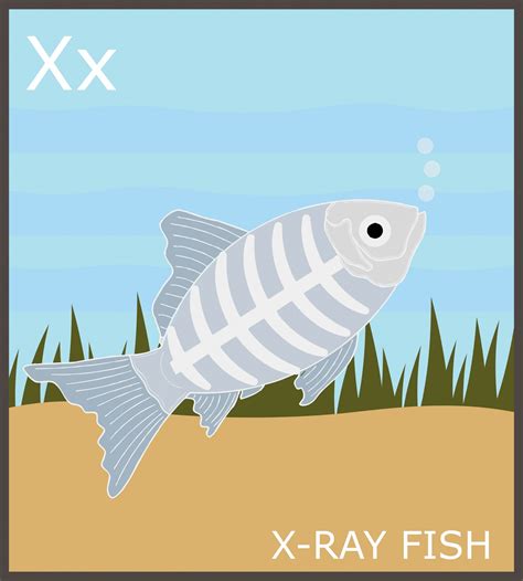 Letter X X Ray Fish Alphabet Free Stock Photo Public Domain Pictures