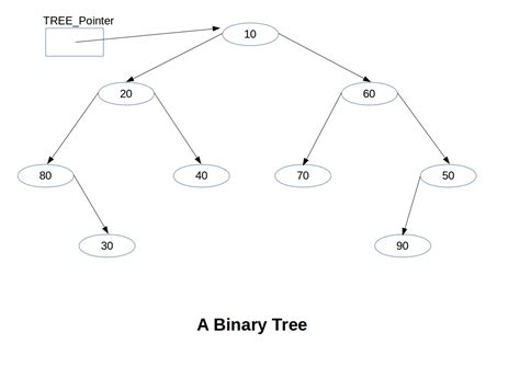 Data Structure Rooted Binary Tree An Overview