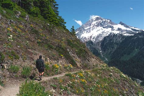 7 Awesome Mount Hood Hikes Including Waterfall Hikes