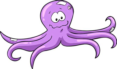 Octopus Png Transparent Image Download Size 1740x1031px