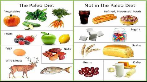 Аутоиммунный протокол диета меню Диета Палео Аутоиммунный Протокол Меню – Telegraph Диета Палео Аутоиммунный Протокол Меню – Telegraph Аутоиммунный протокол диета меню