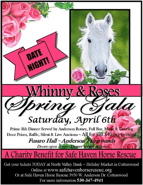 Safe Haven Horse Rescue Journal