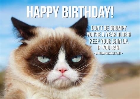 Funny Birthday Wishes And Birthday Quotes Funny Birthday