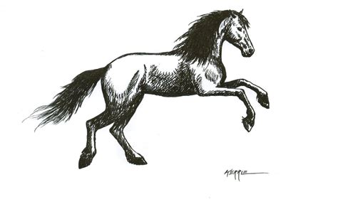 drawing images  horses