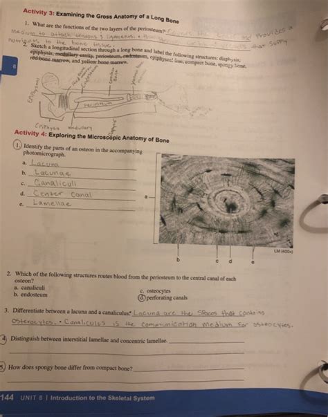 Identify the haversian canal, a center tube that contains in a higher power, sketch and label a cell showing: Solved: Activity 3: Examining The Gross Anatomy Of A Long ...