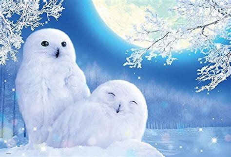 3840x2160px 4k Free Download Snowy Owls Under Moonlight Owl Moon