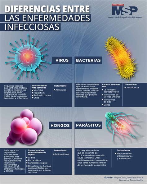 Diferencias Entre Las Enfermedades Infecciosas Infograf As