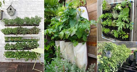 12 Diy Vertical Vegetable Garden Ideas To Grow More Food