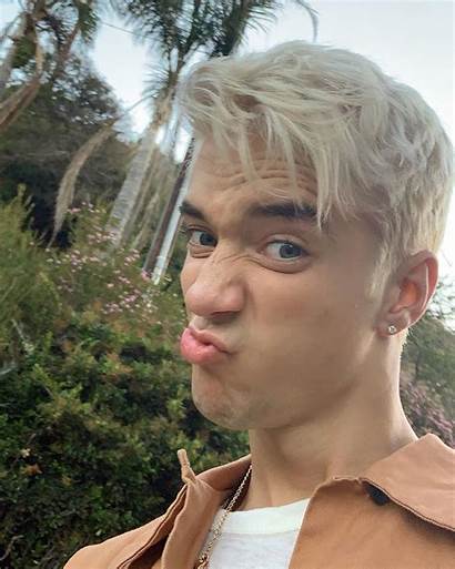 Daniel Seavey Why Don Facts Funny Face