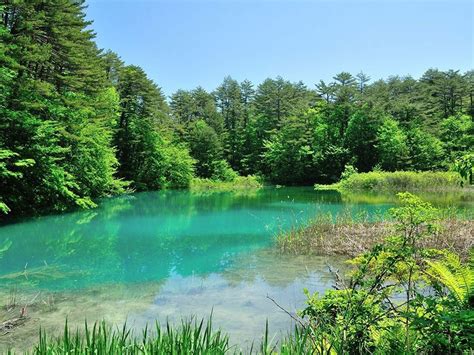 Goshikinuma Walking Trail Tohoku X Tokyo Japan