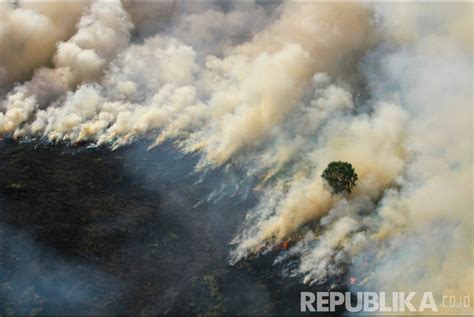 Asap Kebakaran Hutan Kalimantan Masuk Wilayah Malaysia Republika Online