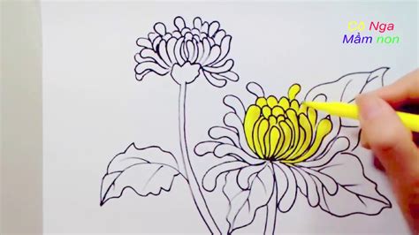 Vẽ Hoa Cúc đơn Giản Cách Vẽ Hoa Cúc Drawing A Daisy Dạy Vẽ Và Tô