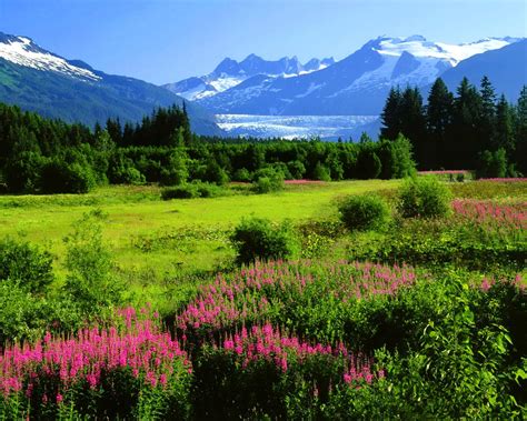 Free Download Hd Wallpaper Alaska From A Distance Green Grass Field