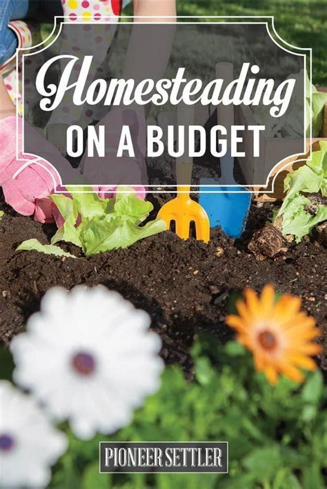 How To Start Homesteading On A Budget Homesteading Homesteading Diy