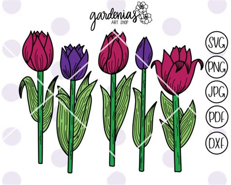 Download Tulips Bundle svg, Spring flowers svg, Spring tulips svg ...