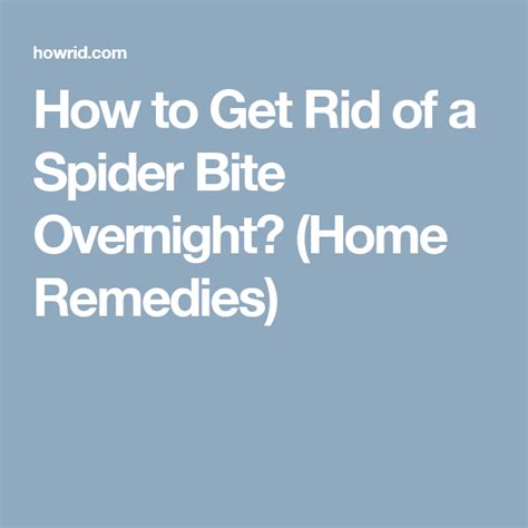How To Get Rid Of A Spider Bite Overnight Home Remedies Spider