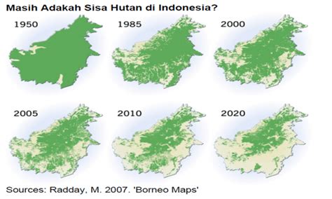 Potret Hutan Indonesia Yang Katanya Paru Paru Dunia Tapi Makin Menipis Luasnya Duh Sedih