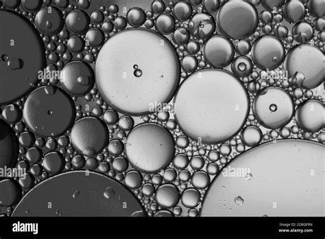 Free Download Close Up Oil Bubbles With Black And White Background Macro Image 1300x956 For