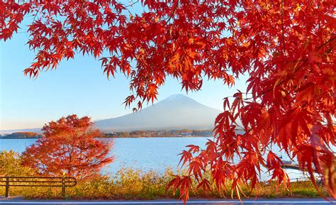 Japanese Autumn And Its Foodie Treats Gaijinpot