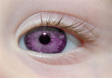 Envisage yourself with purple eyes in a sea of blue eyes, brown eyes, and green eyes. purple eye | Flickr - Photo Sharing!