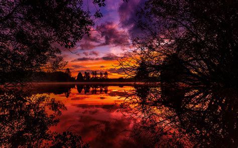 Desktop Wallpaper Sunrise Lake Trees Reflections 5k Hd Image