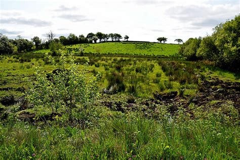 Rushy Ground Cranny © Kenneth Allen Geograph Britain And Ireland