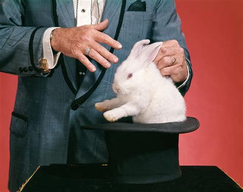 1970s Man Magician Pulling White Rabbit Photograph By Animal Images