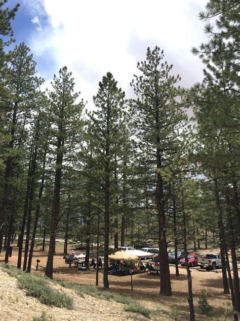 We did not find results for: Bryce Canyon Lodge & Cabins | Road Trippin' | Southern ...