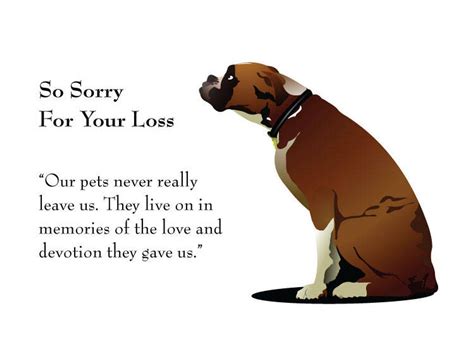 Loss Of Pet Message Petspare