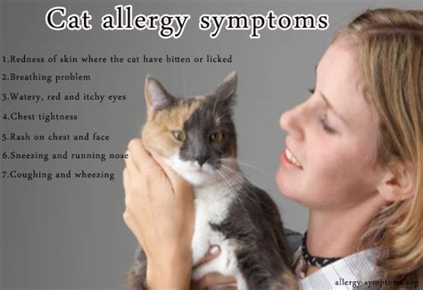 Cat Allergy Symptoms Cats Are More Commonly Kept As Pets In Most Of The