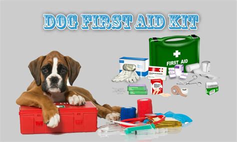 Top 10 Essential Products For Dog First Aid Kit Dogmal