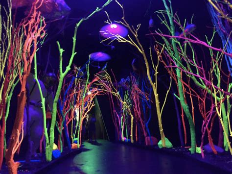 Meow Wolfs Psychedelic Art Installation Is A No Go In Fort Totten