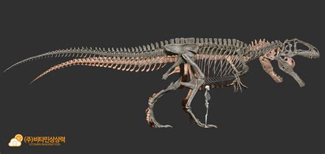 Giganotosaurus Skeleton