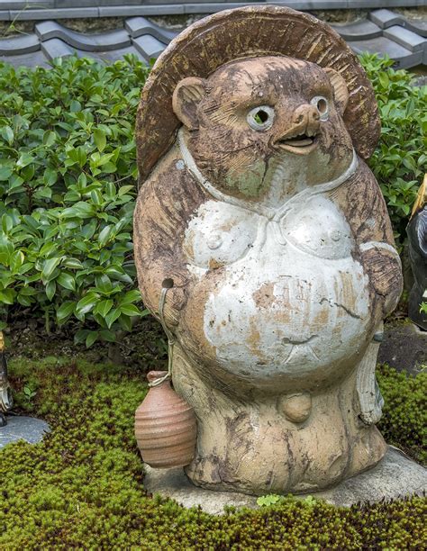 Raccoon Dog In Folklore Cotsen Childrens Library